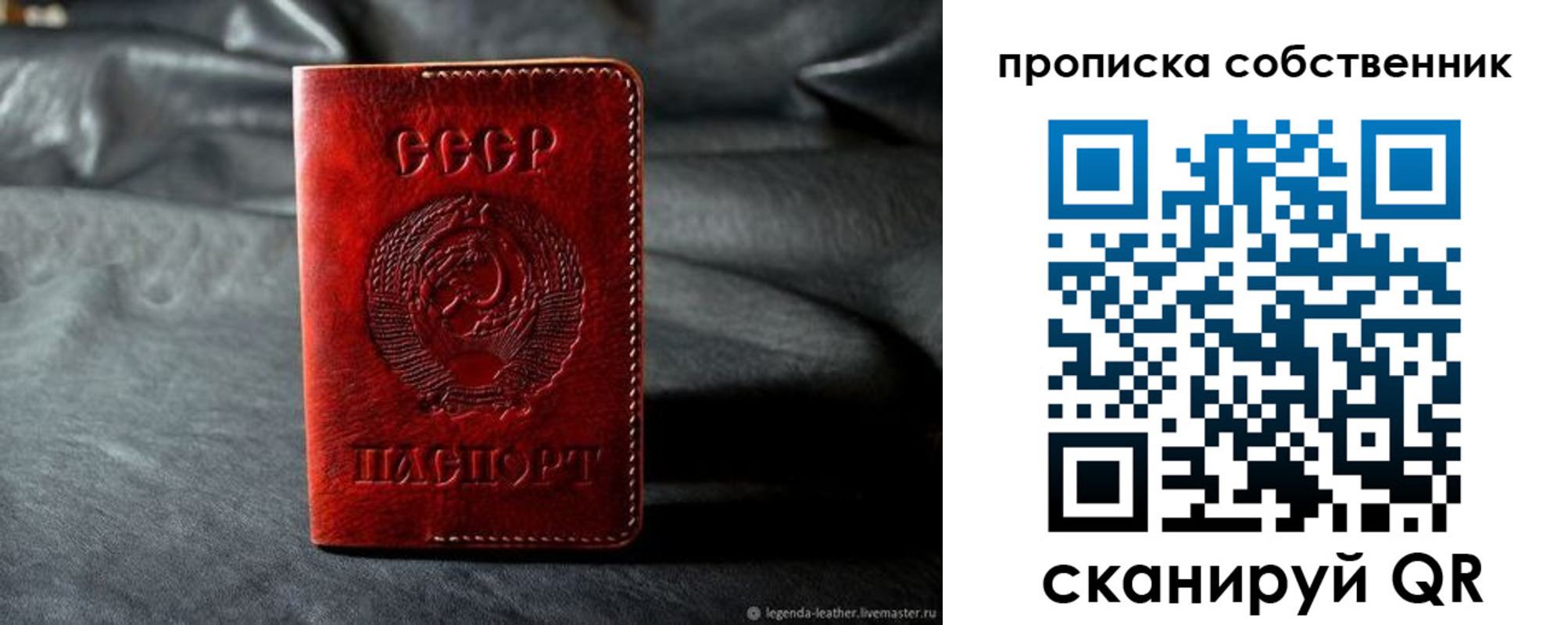 прописка поиск в Новгородской области